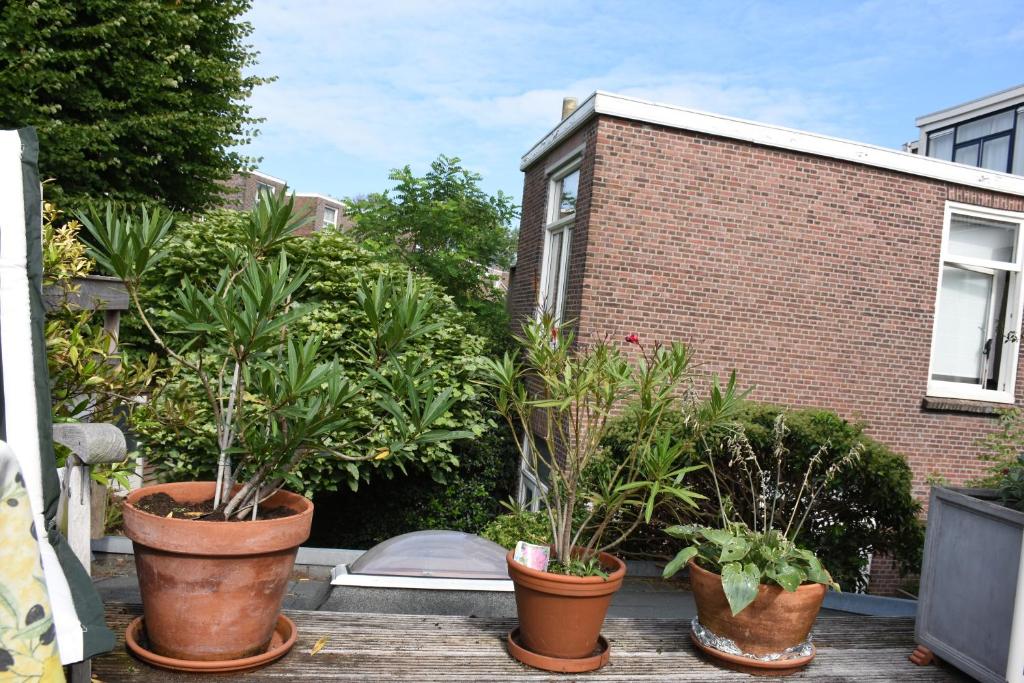 Bed & Breakfast Leonie room 5