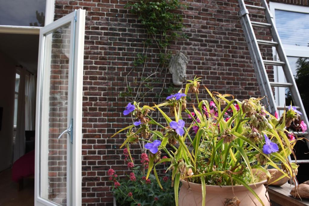 Bed & Breakfast Leonie room 6